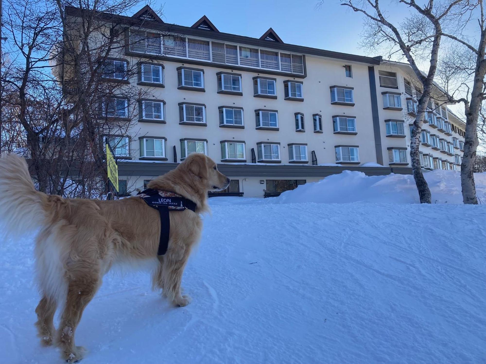 Shiga Lake Hotel Yamanouchi  Bagian luar foto